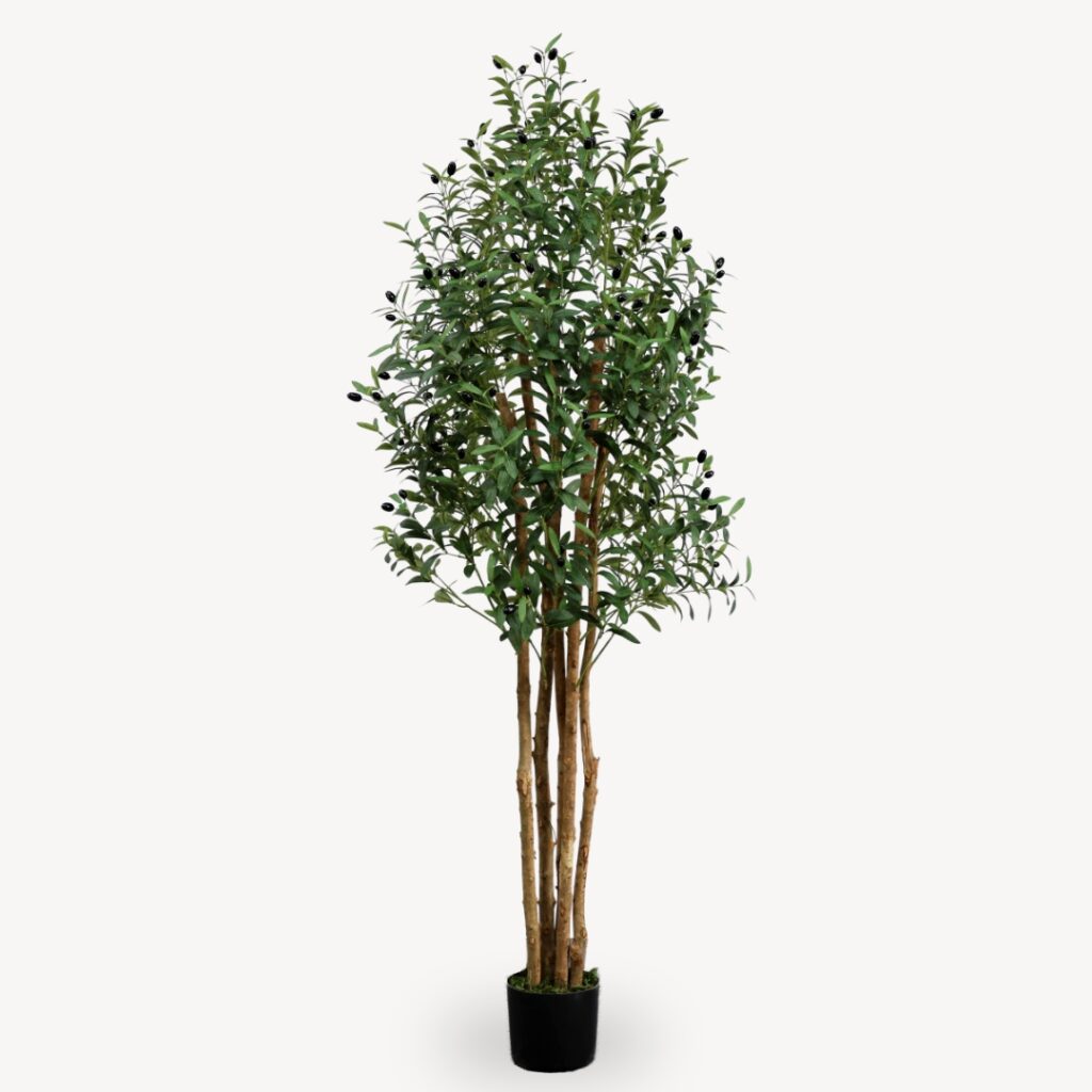Umělý Olivovník Vícekmenný 150 cm
